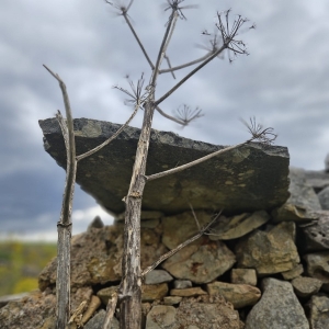 Azienda Agricola Biologica